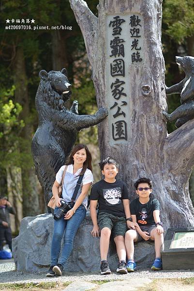 《台中和平》武陵農場會紅粉佳人遇見櫻花大爆開