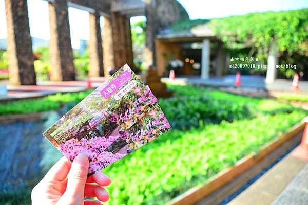 〔日本沖繩寒假8日自由行〕海洋博公園熱帶夢幻中心看鬱金香和蘭