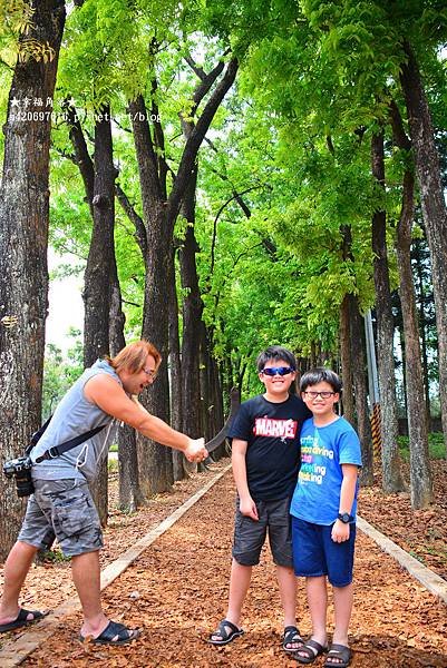《高雄六龜》新威森林公園