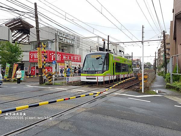 〔2019盛世公主遊輪〕鹿兒島、釜山六日遊//日本鹿兒島岸上