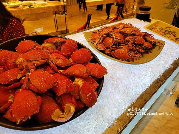 《台中西屯》林酒店森林百匯海鮮吃到飽