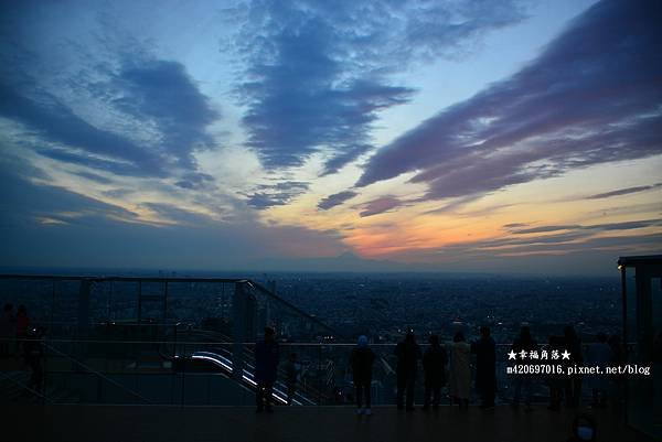 〔2020日本東京自由行7日遊〕澀谷SHIBUYA SKY 