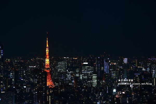 〔2020日本東京自由行7日遊〕澀谷SHIBUYA SKY 