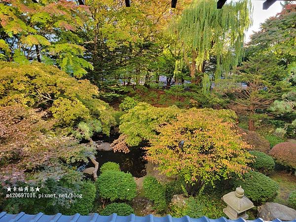 〔2022日本北海道5日遊〕函館山夜景//函館湯之川啄木亭