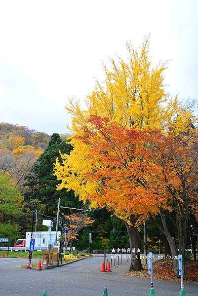 〔2022日本北海道5日遊〕北海道神宮