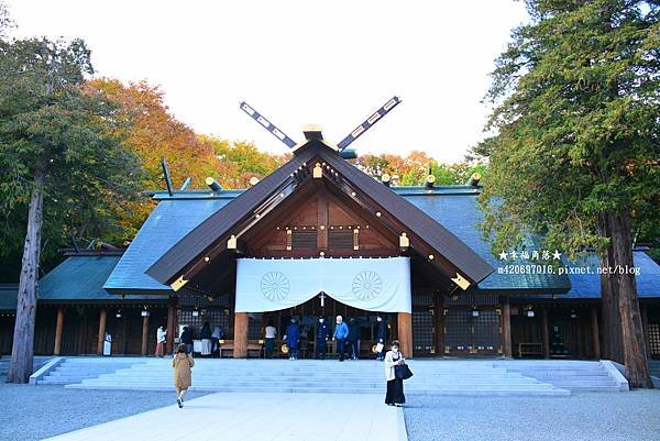 〔2022日本北海道5日遊〕北海道神宮