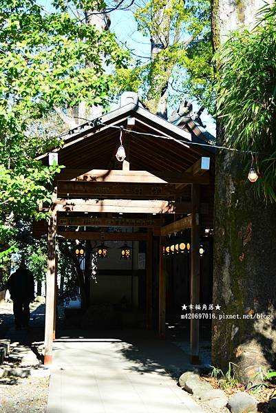 〔2023日本東京自由行8日遊〕川越一日遊//冰川神社//熊