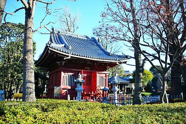 〔2023日本東京自由行8日遊〕淺草寺//雷門//鳴門鯛燒本