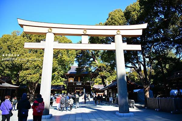 〔2023日本東京自由行8日遊〕明治神宮//澀谷//秋葉原