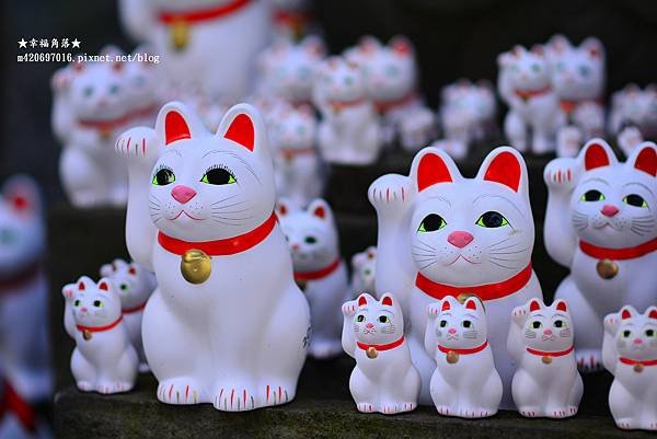 〔2023日本東京自由行8日遊〕豪德寺
