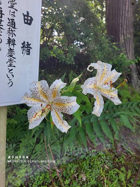 〔2023日本東北暑假5日遊〕中尊寺