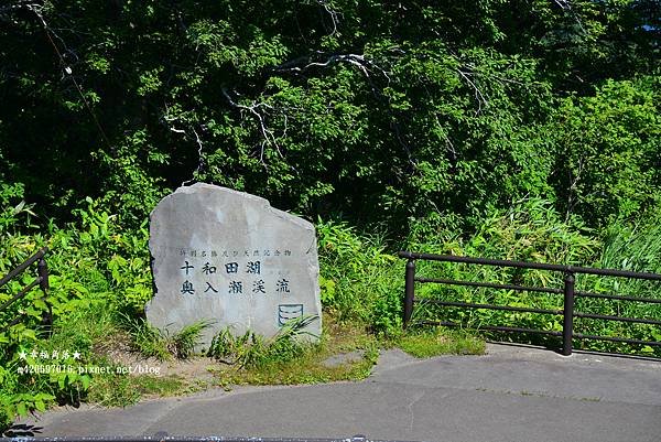 〔2023日本東北暑假5日遊〕十和田湖//奧入瀨溪流