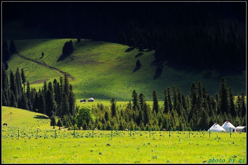 +DSC_2585