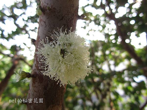 IMG_0112.JPG