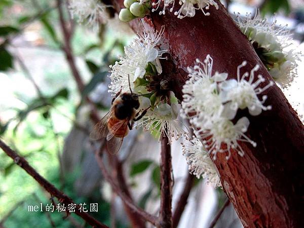 IMG_0118.JPG