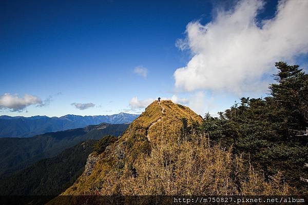 畢祿襤褸，以啟山林_7077.jpg