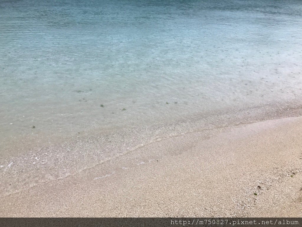 IMG_6996.JPG