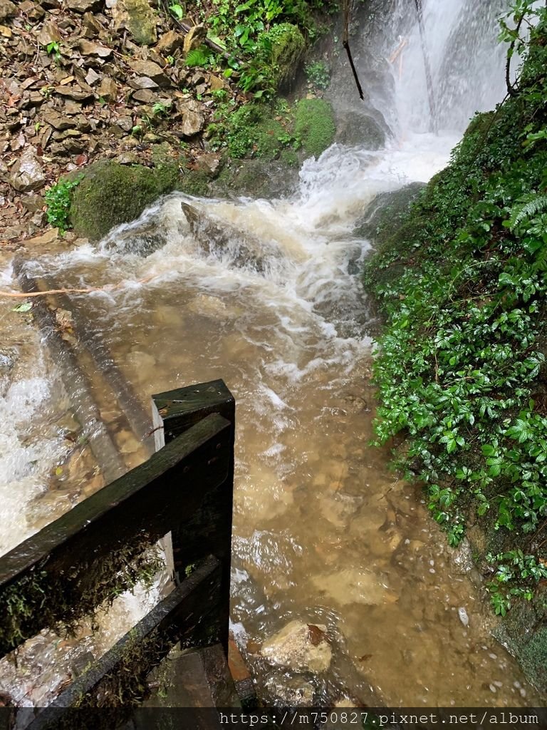 沙巴神山 之一次給你個暢快後🌂 之可能很難來第二次了🤦🏼‍♀️ 之麻煩以後爬山勿_153.jpg