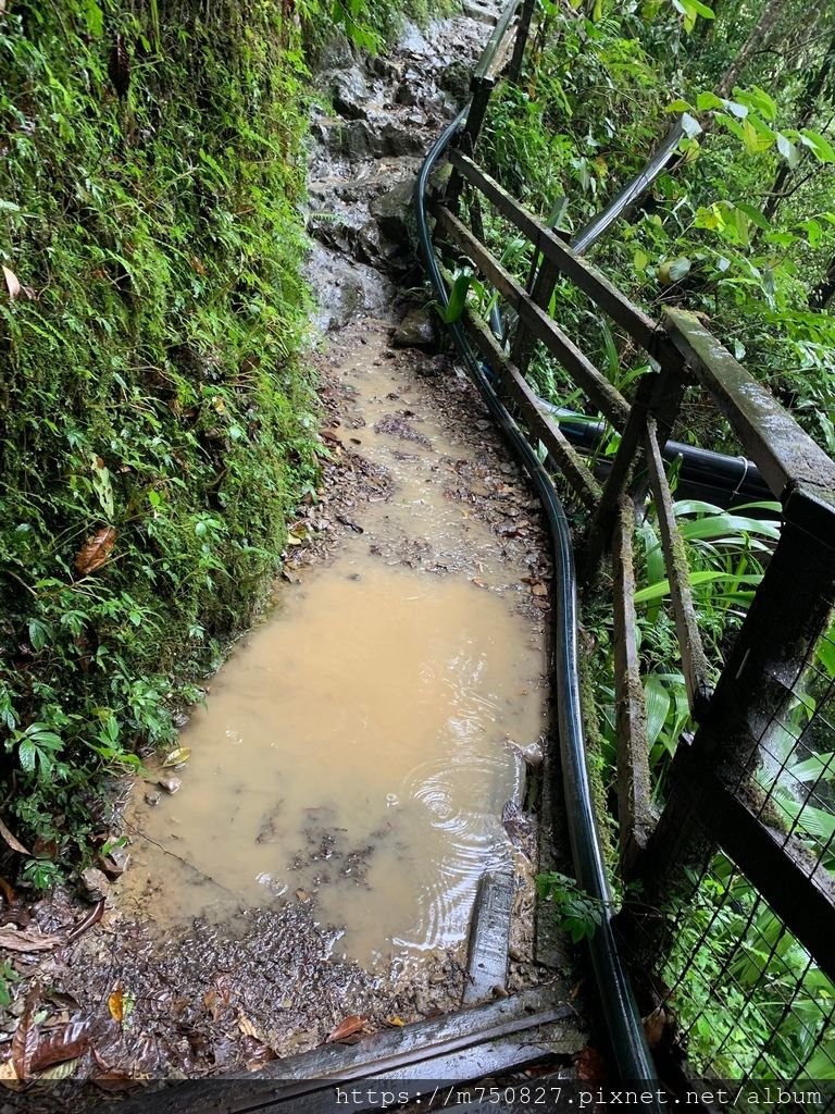 沙巴神山 之一次給你個暢快後🌂 之可能很難來第二次了🤦🏼‍♀️ 之麻煩以後爬山勿_154.jpg