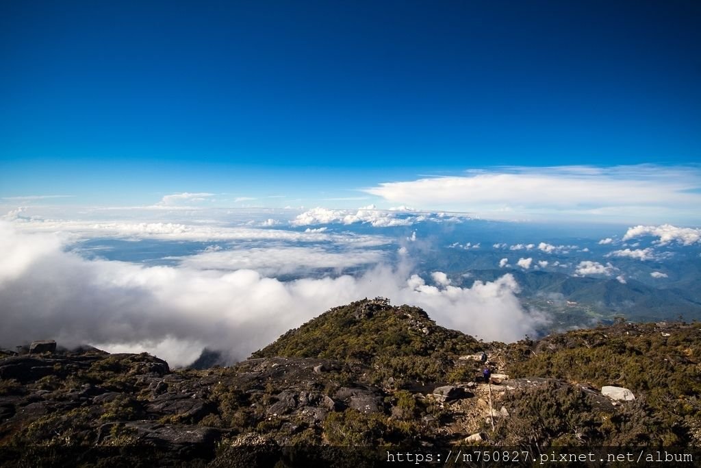 20190511~14 神山_190516_0033.jpg