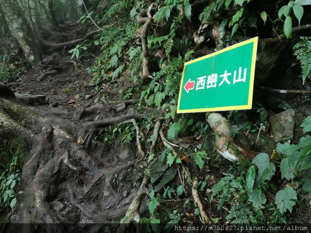 雙龍登堂上西巒_210519_114.jpg