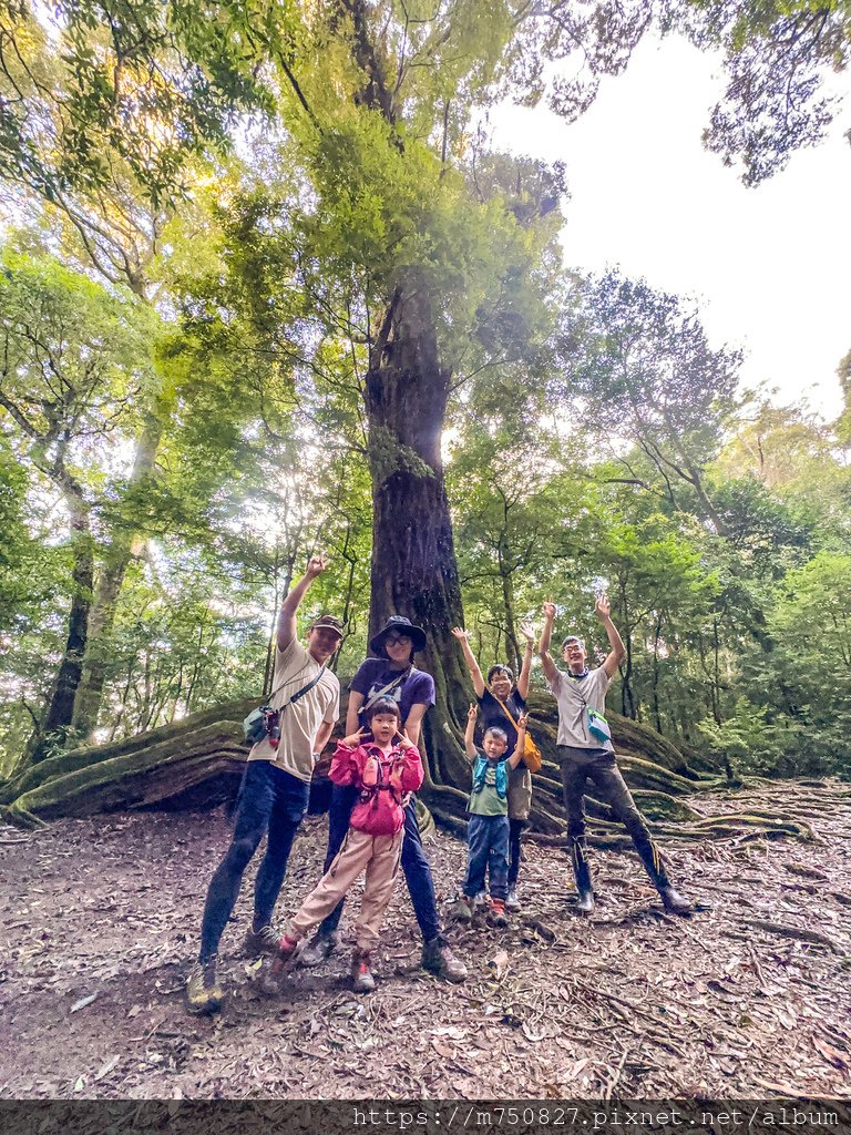 【親子登山】2023-10-8~10-9雪霸國家公園-雪見大