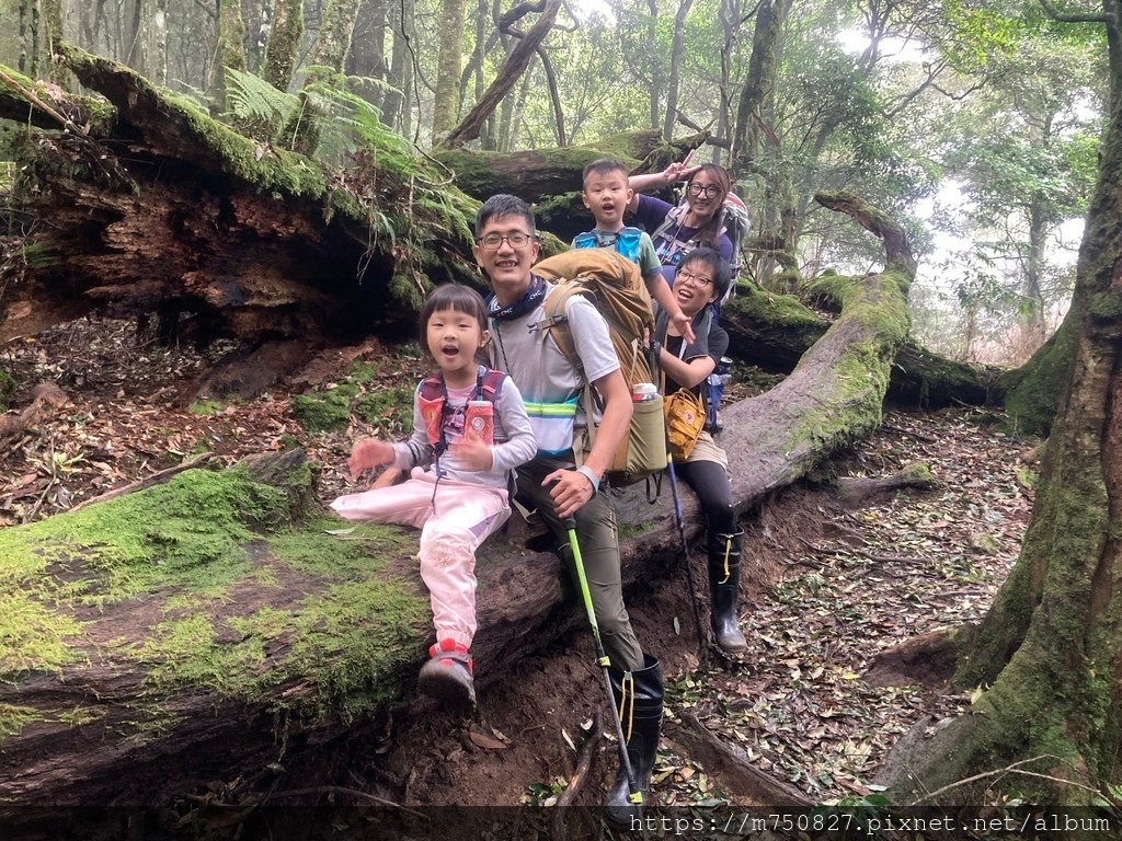 【親子登山】2023-10-8~10-9雪霸國家公園-雪見大