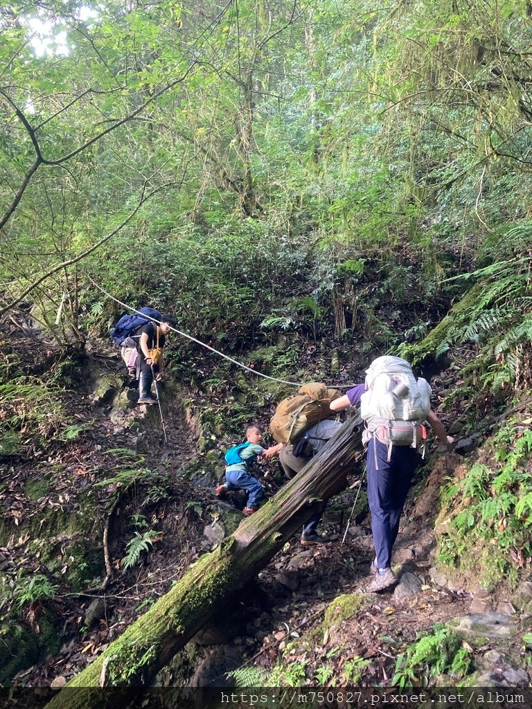 【親子登山】2023-10-8~10-9雪霸國家公園-雪見大