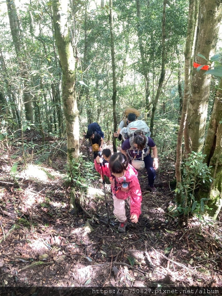 【親子登山】2023-10-8~10-9雪霸國家公園-雪見大