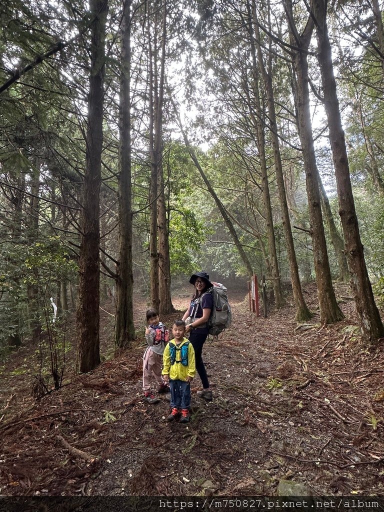 【親子登山】2023-10-8~10-9雪霸國家公園-雪見大