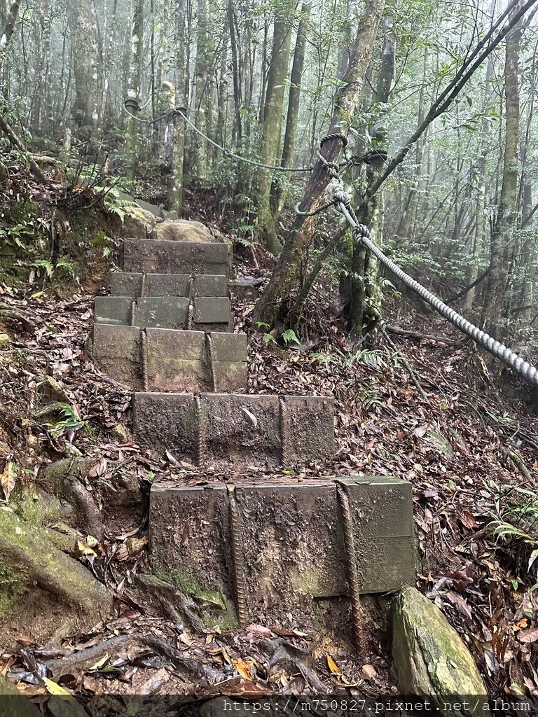 【親子登山】2023-10-8~10-9雪霸國家公園-雪見大