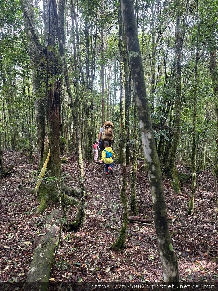 【親子登山】2023-10-8~10-9雪霸國家公園-雪見大