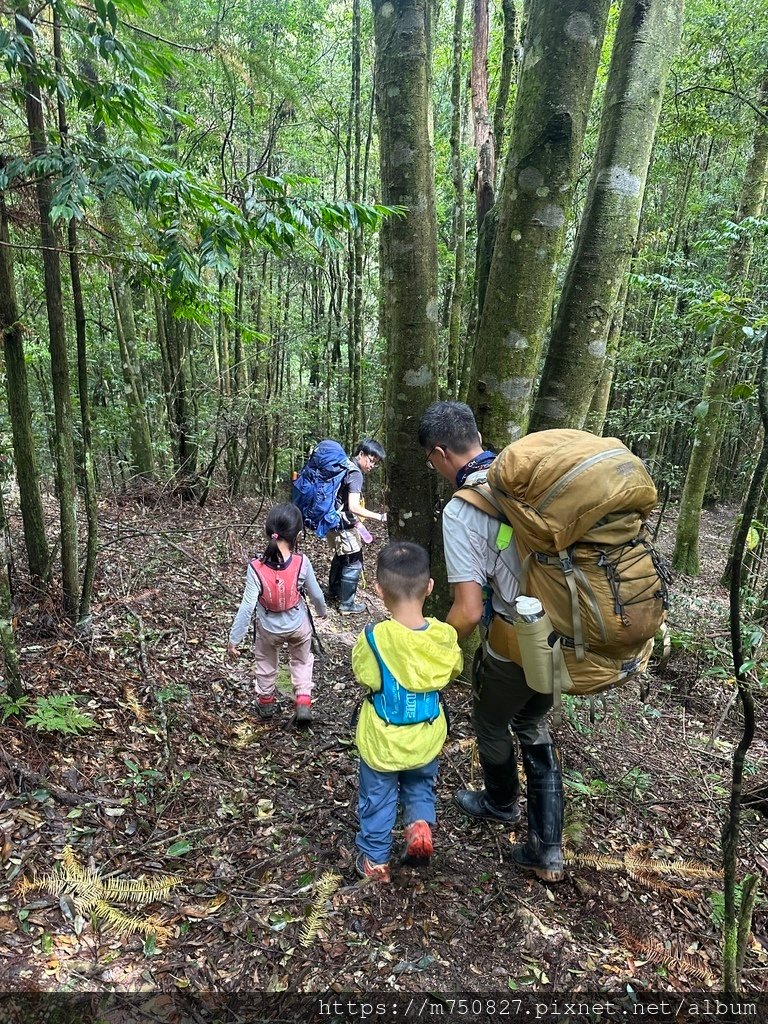 【親子登山】2023-10-8~10-9雪霸國家公園-雪見大