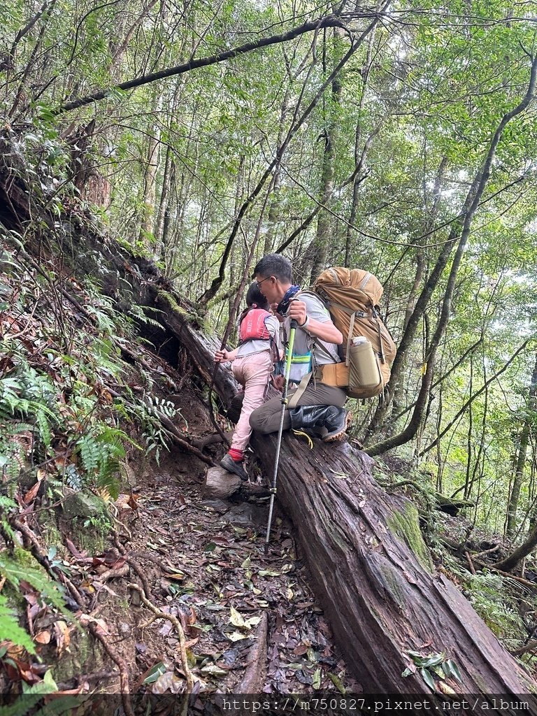 【親子登山】2023-10-8~10-9雪霸國家公園-雪見大