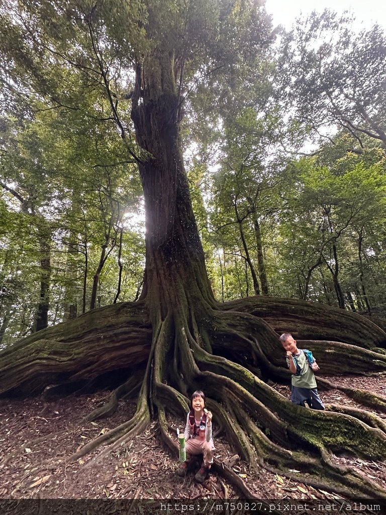 【親子登山】2023-10-8~10-9雪霸國家公園-雪見大