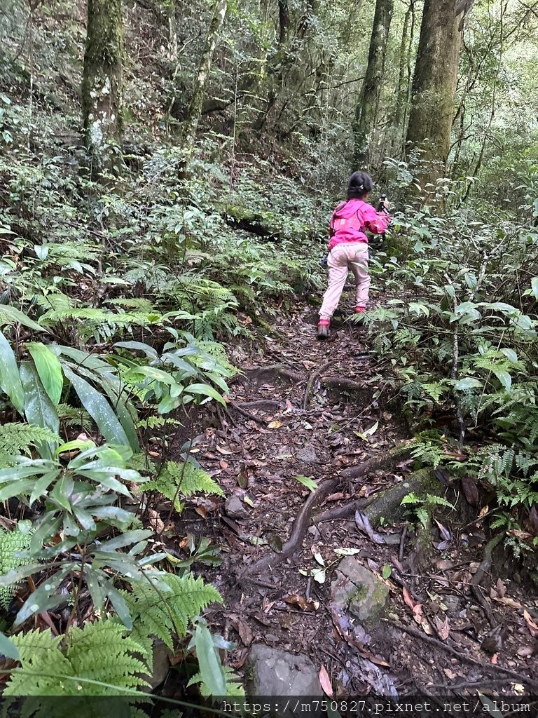 【親子登山】2023-10-8~10-9雪霸國家公園-雪見大