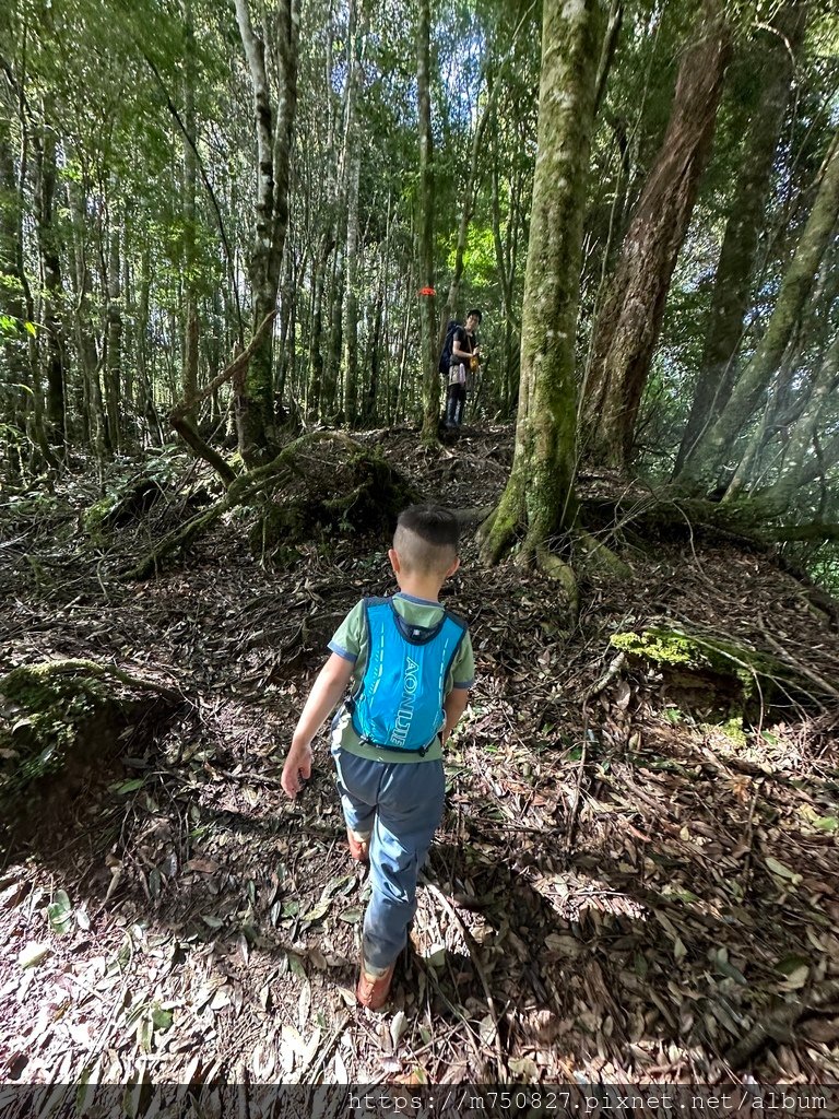【親子登山】2023-10-8~10-9雪霸國家公園-雪見大
