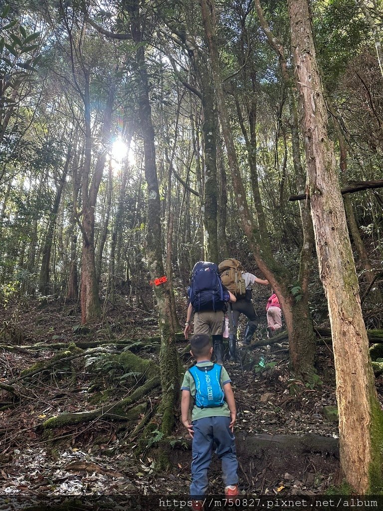 【親子登山】2023-10-8~10-9雪霸國家公園-雪見大