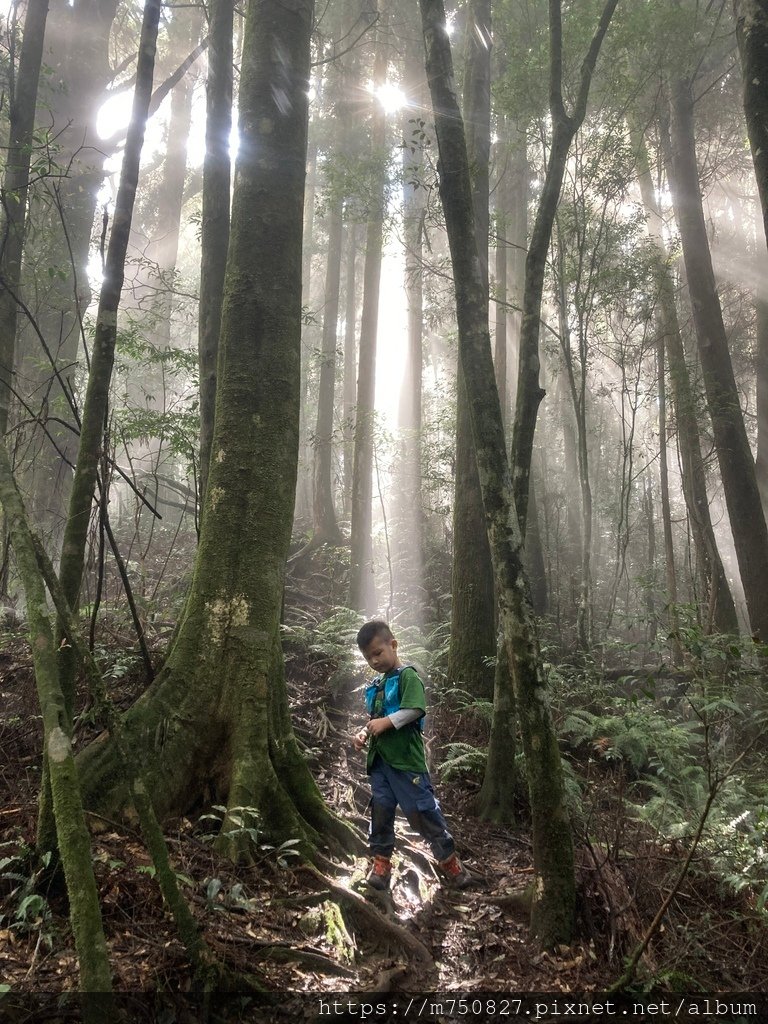 【親子登山】2023-10-14 留龍頭經嶺頭山上金柑樹山~