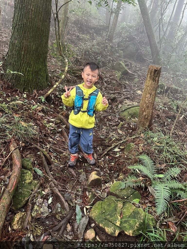 【親子登山】2023-10-14 留龍頭經嶺頭山上金柑樹山~