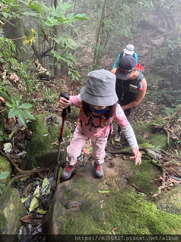 【親子登山】2023-10-14 留龍頭經嶺頭山上金柑樹山~