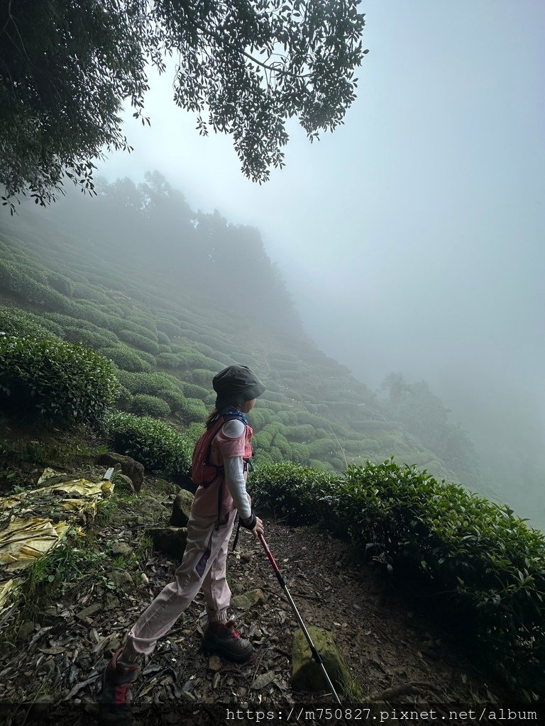 【親子登山】2023-10-14 留龍頭經嶺頭山上金柑樹山~