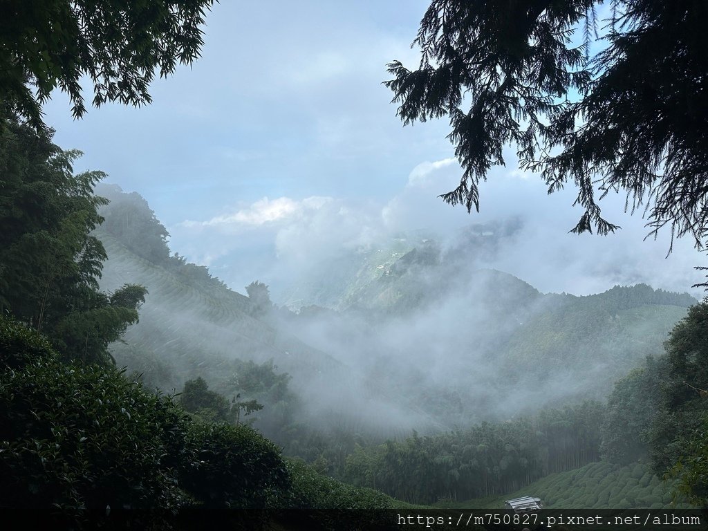 【親子登山】2023-10-14 留龍頭經嶺頭山上金柑樹山~