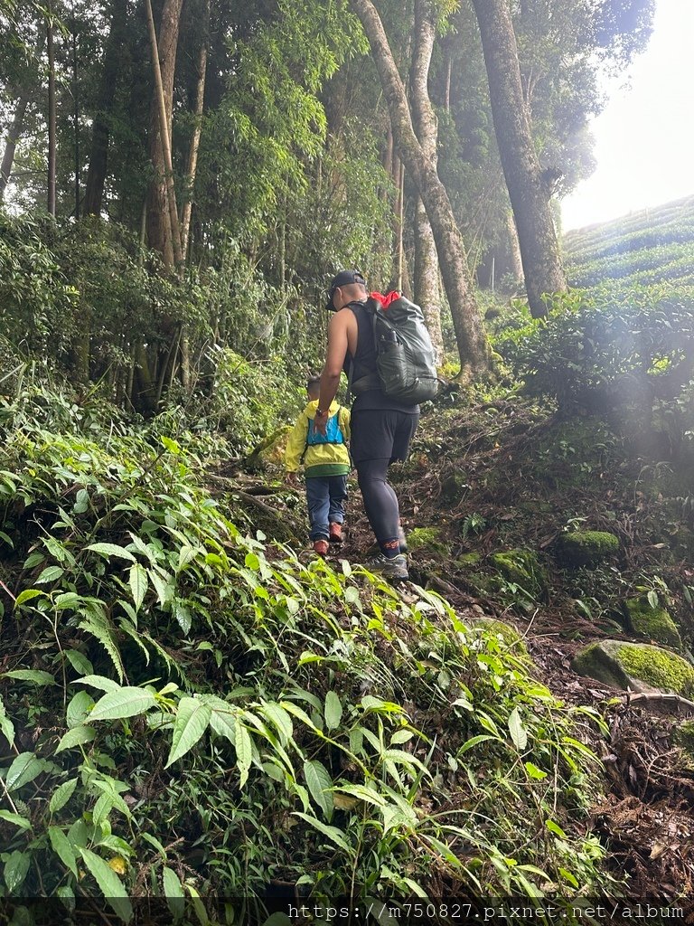 【親子登山】2023-10-14 留龍頭經嶺頭山上金柑樹山~