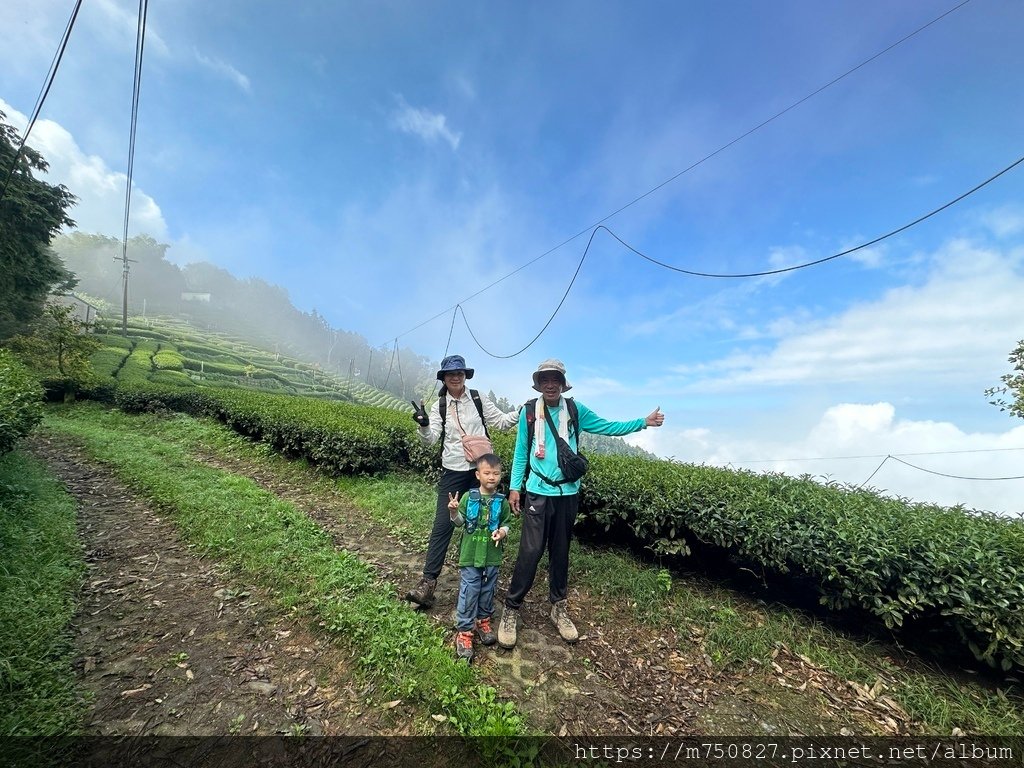 【親子登山】2023-10-14 留龍頭經嶺頭山上金柑樹山~