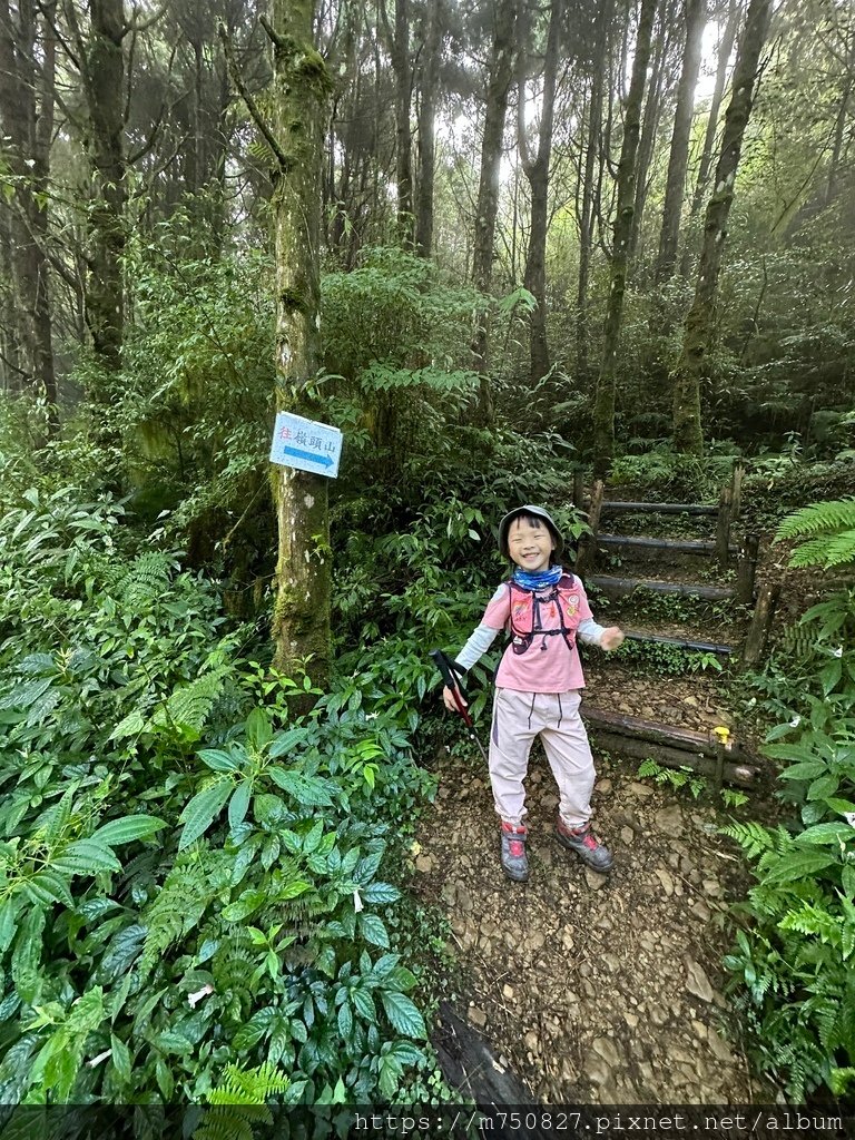 【親子登山】2023-10-14 留龍頭經嶺頭山上金柑樹山~