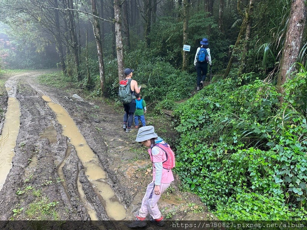 【親子登山】2023-10-14 留龍頭經嶺頭山上金柑樹山~