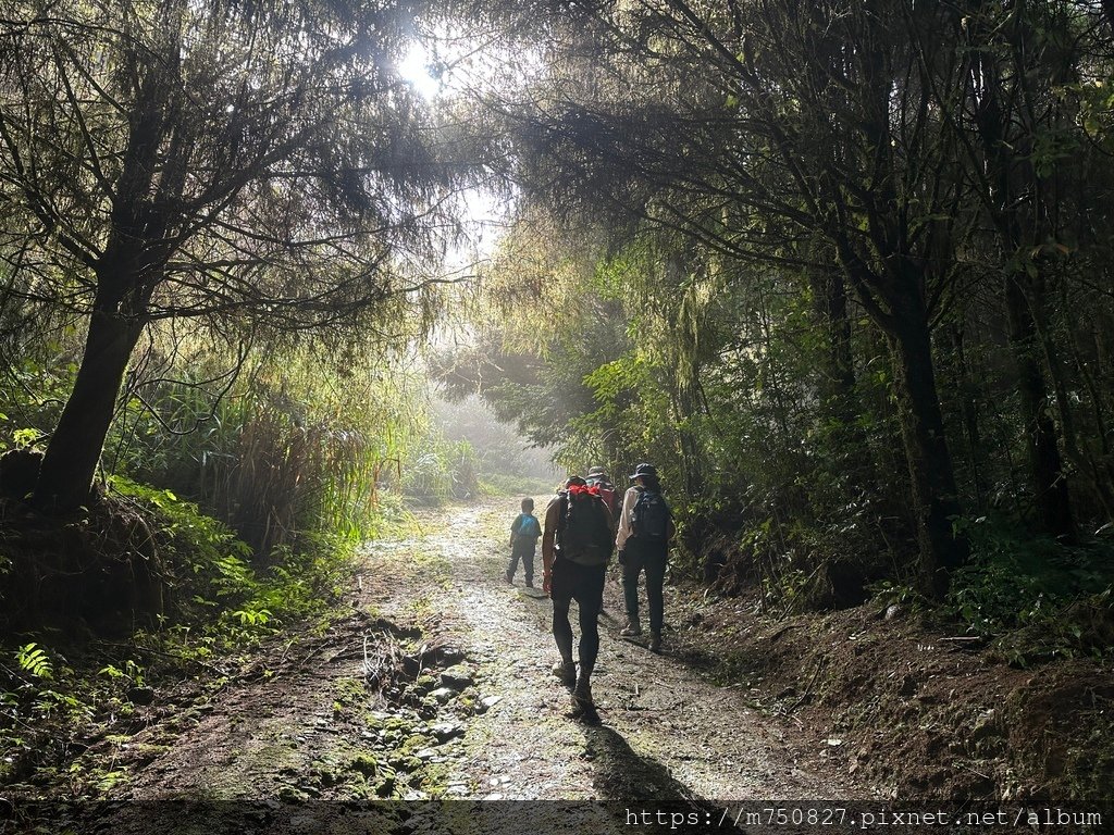 【親子登山】2023-10-14 留龍頭經嶺頭山上金柑樹山~