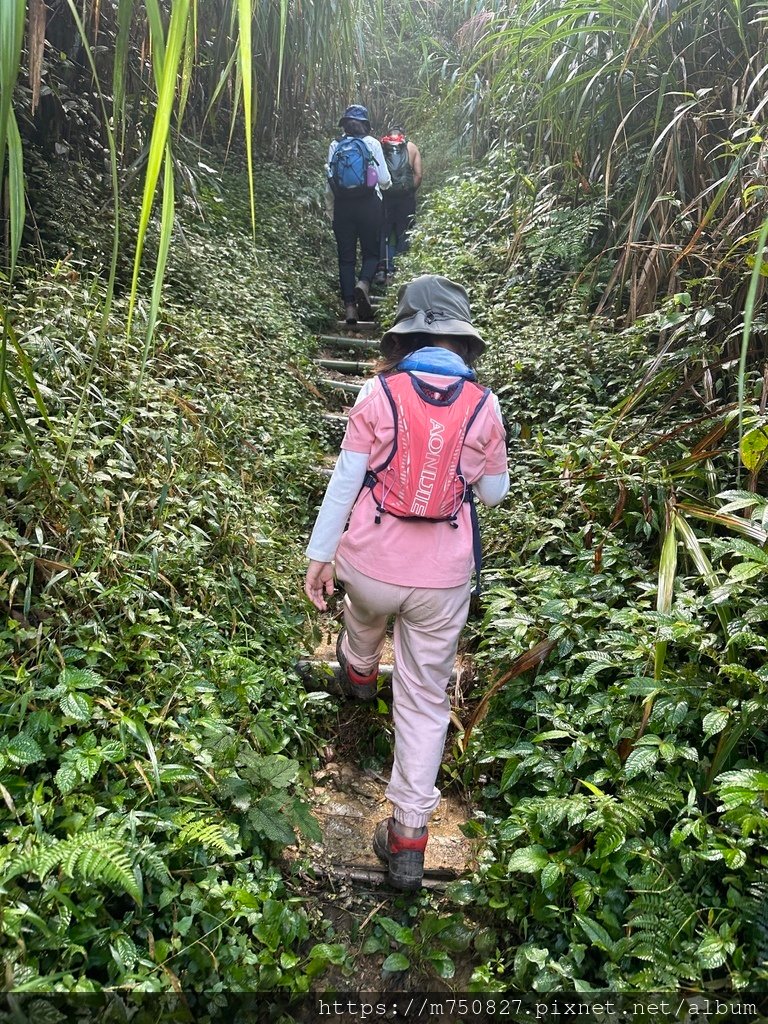 【親子登山】2023-10-14 留龍頭經嶺頭山上金柑樹山~