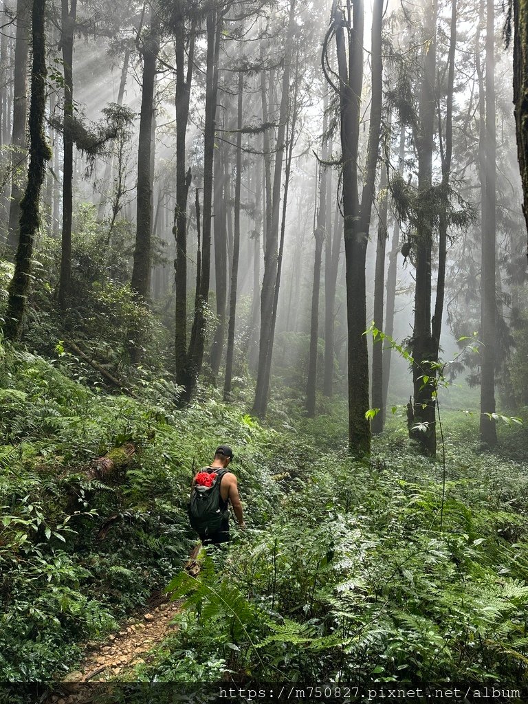 【親子登山】2023-10-14 留龍頭經嶺頭山上金柑樹山~